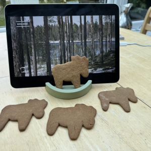 A photo of an iPad in a stand showing a video of some snowy forest, and infront of it are four cookies in the shape of a moose.