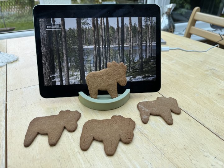 A photo of an iPad in a stand showing a video of some snowy forest, and infront of it are four cookies in the shape of a moose.